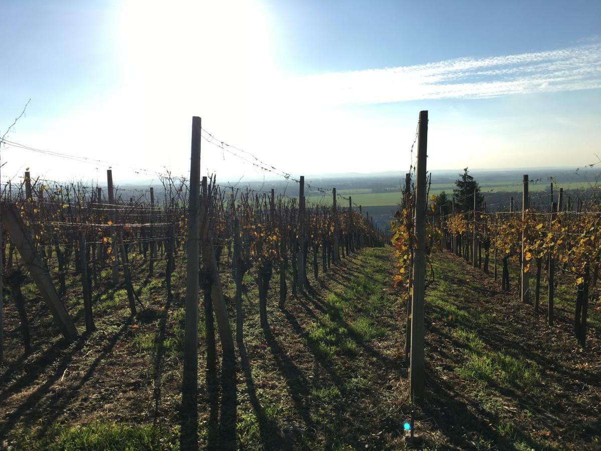 Pri Konjskem Pajdasu Lendava Exteriör bild